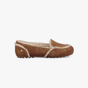 Ugg Hailey Loafer Mockasiner Dam Bruna (963780XFL)